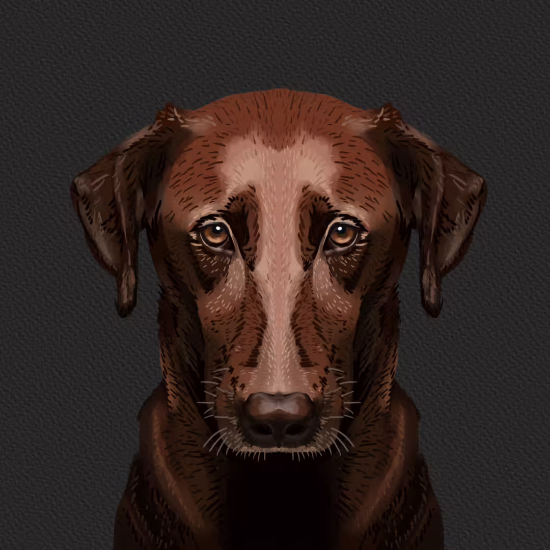 33372/9lndmyAZGB27nPvJSTMMjtM2njXidVb7zzKoNy8o.png