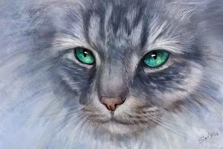33382/XmmmzXu2MrWMM87vrGyNFOoVrSzzgHgz3SNyfBZD.jpg