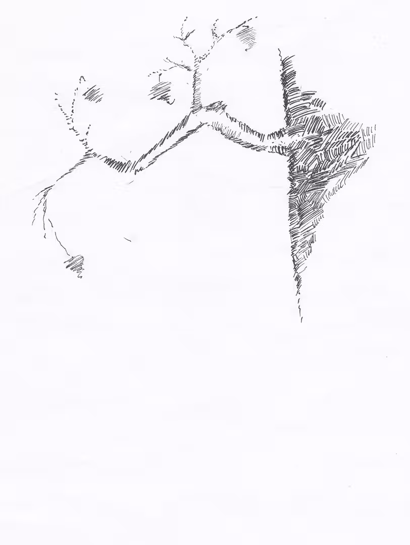 33476/17w39Ds08qOe6th4UjBWVezBf8wW6MgDtLKQ9bXq.jpg