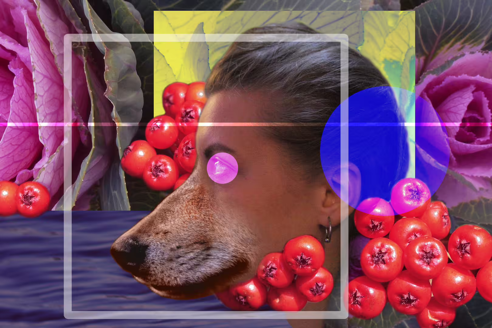 33586/JYedCJZqT1U7owebDkemlFgff02doueyeePl8fhM.jpg