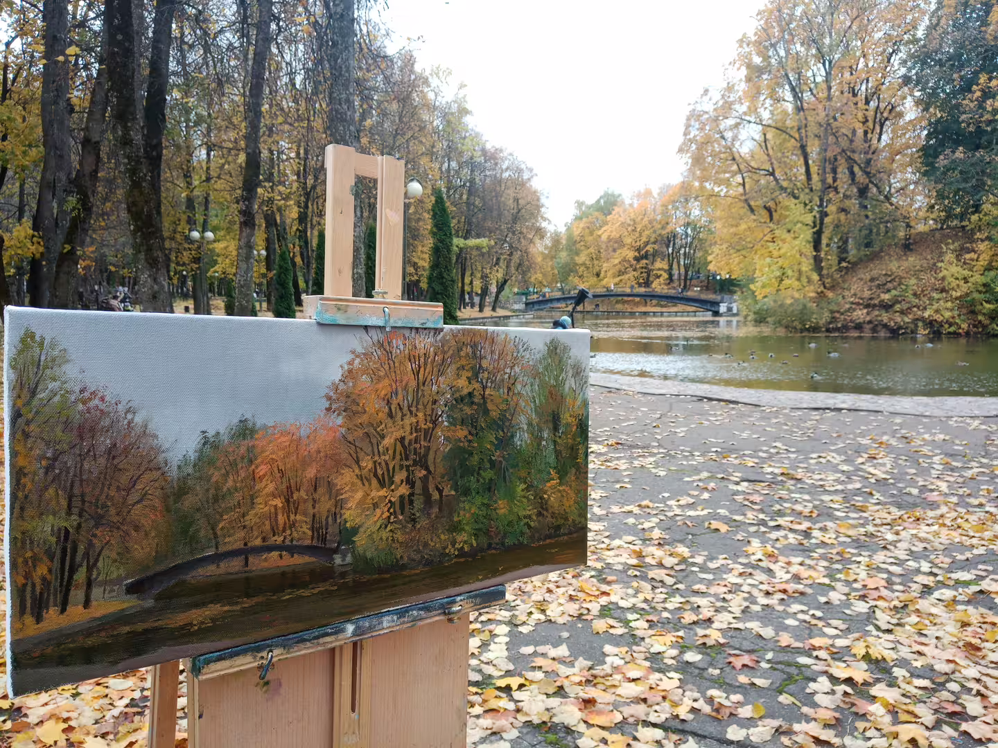 IMG_2022-10-07-11-36-09-636.jpg