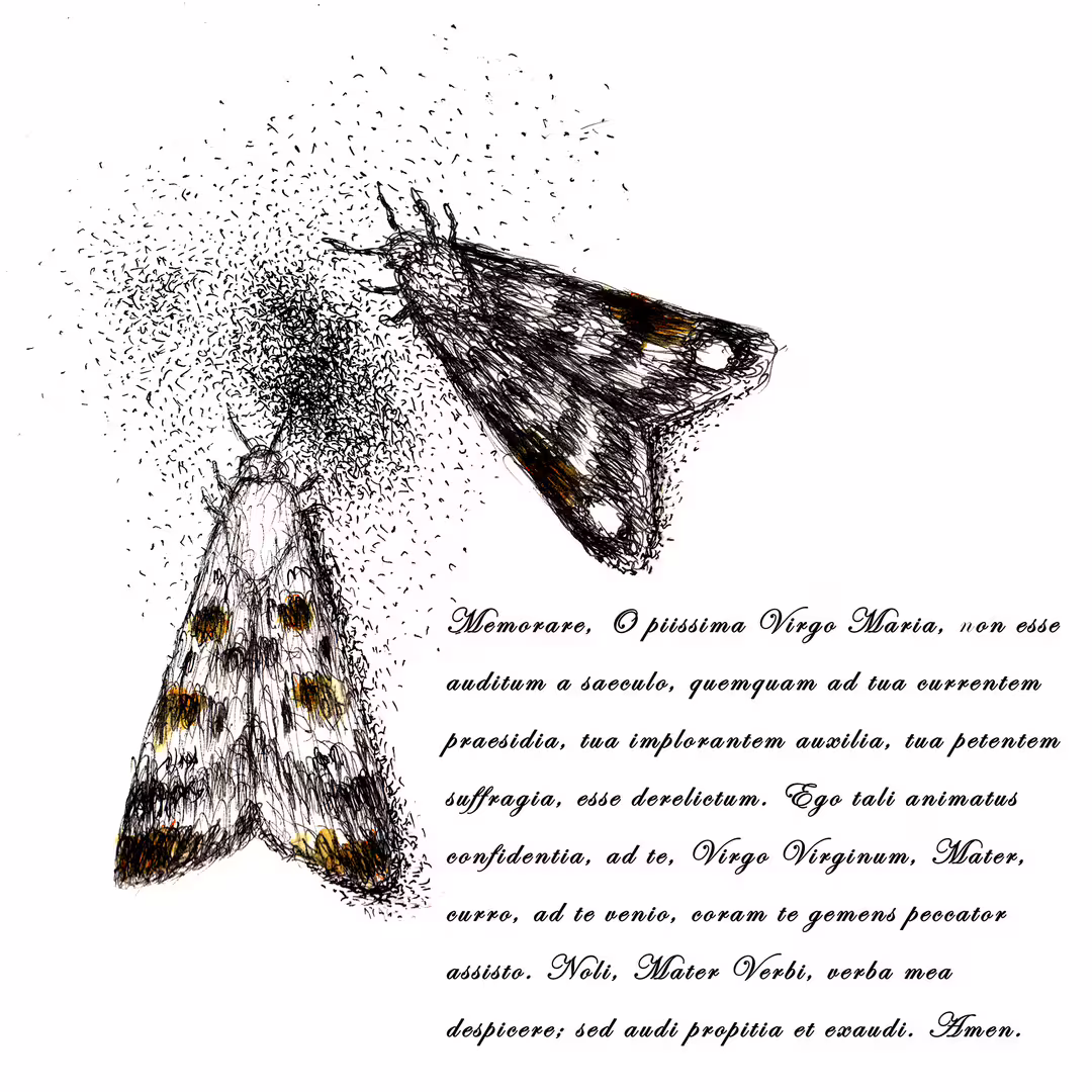 34006/FFL2JqZpehQkOEbLpXnx07v4Ffj8zMHoY1sckXp8.jpg