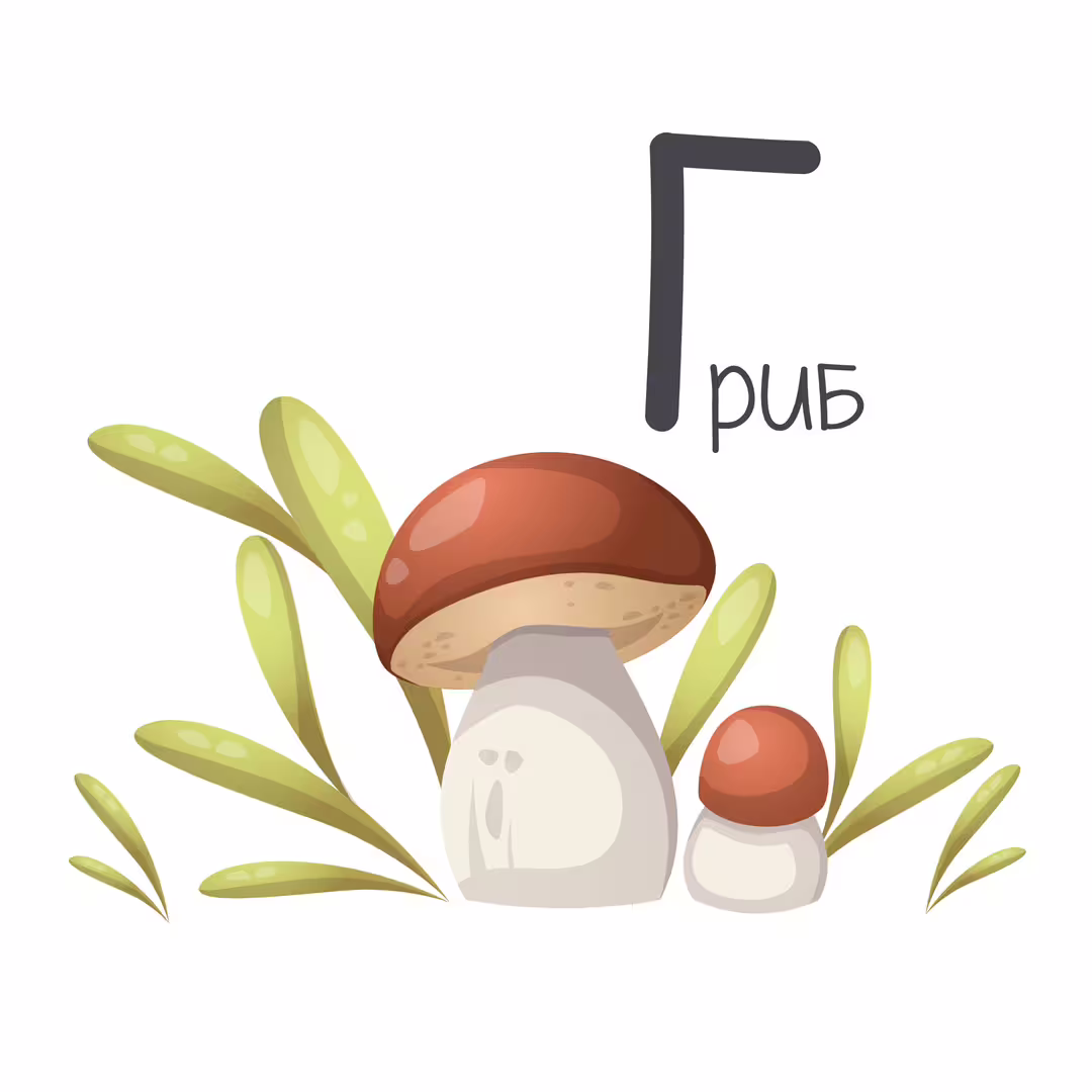34008/PmE1unvUHE6vUWYgab2ERC0LFIBRgV89KeMtVx7A.jpg