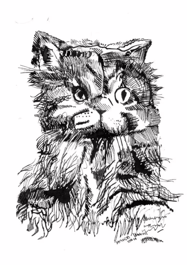 34203/a1dW6Gi3CoNQgXnA6xoQxuEb46QwXdAuDSevUW9R.jpg