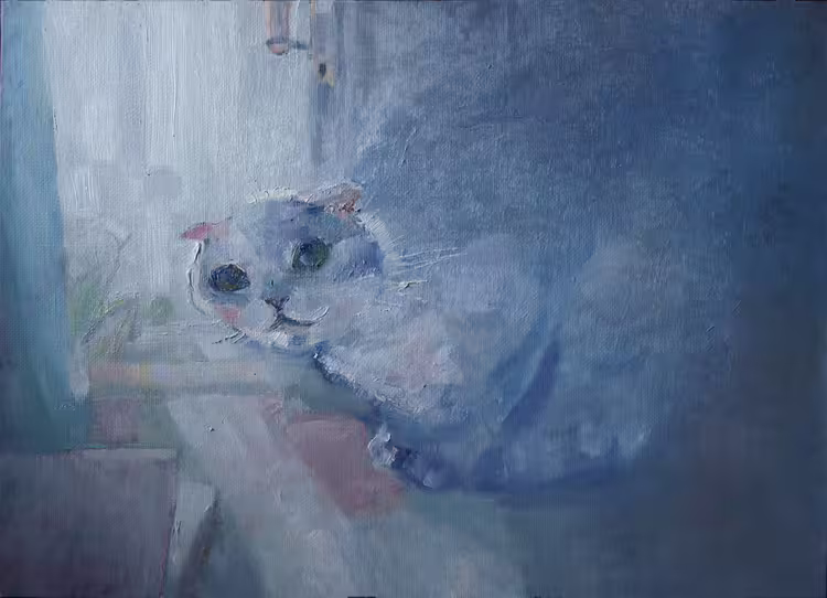 34361/iHPIGlWPG1HgEGnV6XCU4YgGC5HA77sDAwONiNrW.jpg