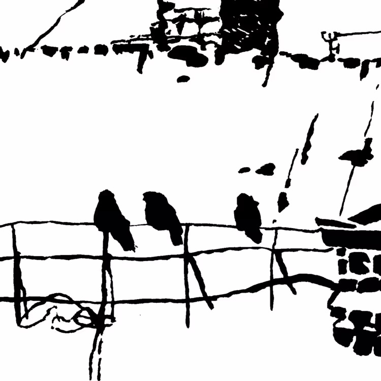 34427/DiAoZg2U7mVp06ePlz5HWLq0rOuOavHSE5mXQe90.png