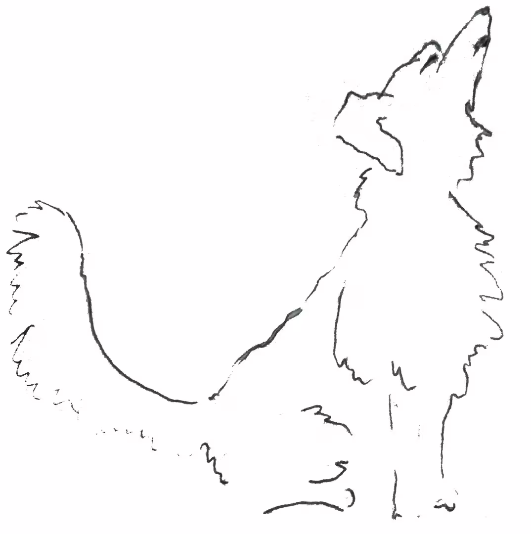 34505/H6b1gOyUzVSHEFjfJw239T7J4XhYmkfYXAqEI1bH.jpg