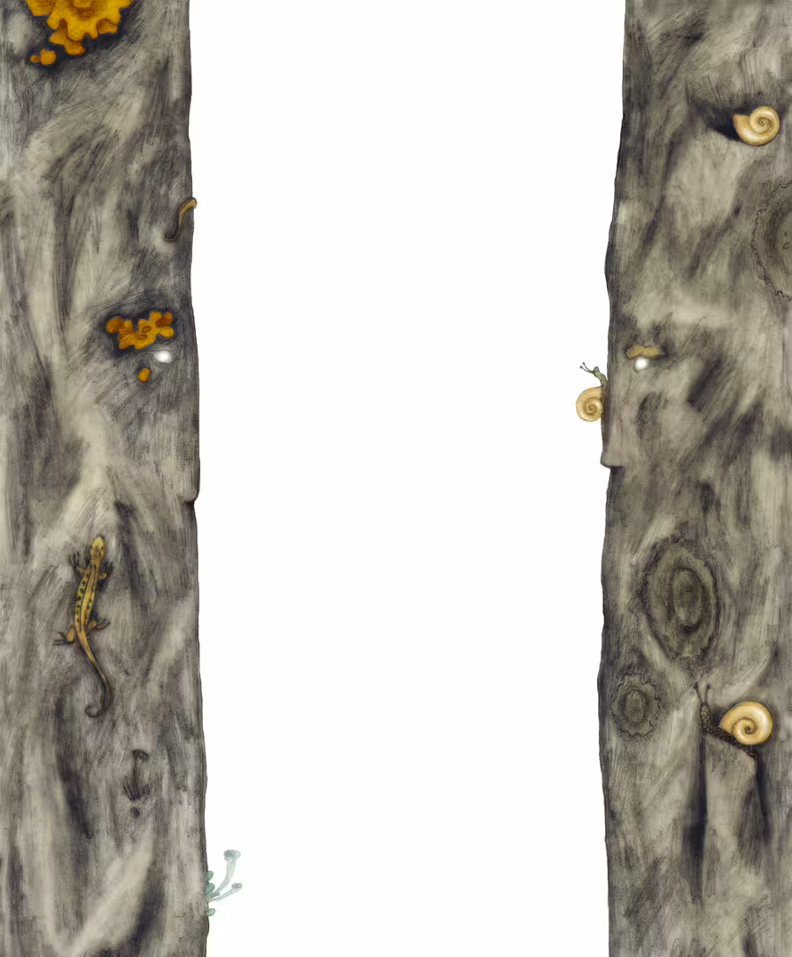34630/mqvp2rdGjmUpqkgWY4Ea9SW2V8ghthSrH97uwpXq.png