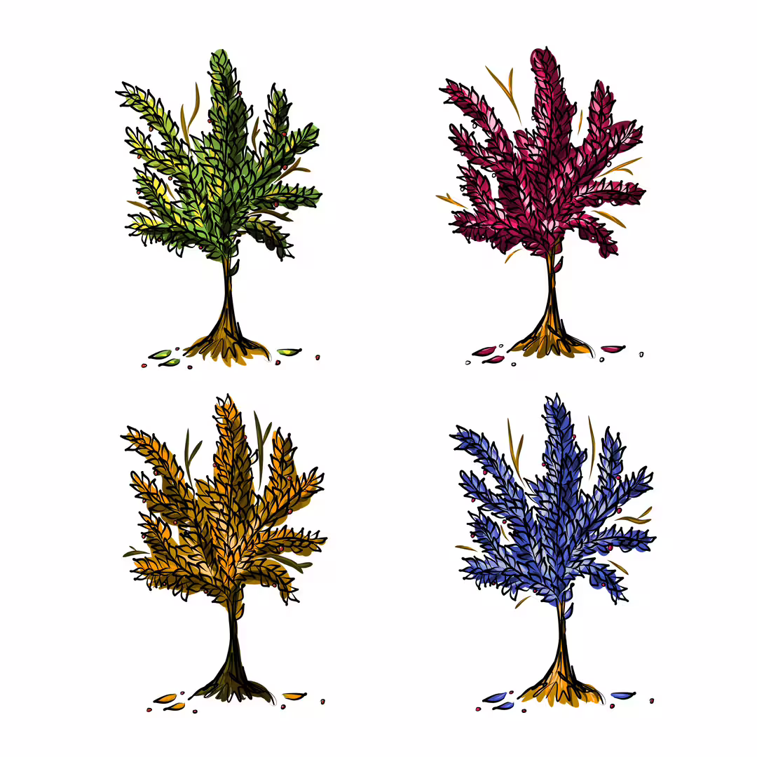 34682/Q38g8aQlrJjzdTb4tQLssyxIAbCick0PWR5kJhhe.jpg