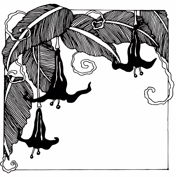 34877/zJTSFHCLvFydlfBQaVM56r5zDxdp19arM5pdi2Ku.png