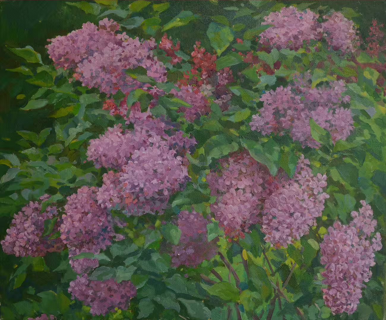 Жидков О.В. Ветки сирени. х.м. 50Х60 см 2017 г..jpg