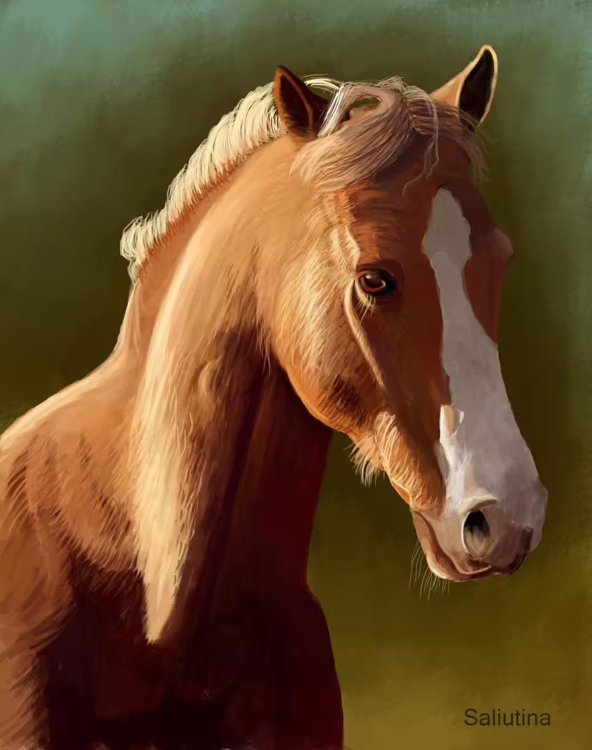 35070/00wETOy0tio4Q069LCobSG9RTyyxMjAdRuXf8SPK.jpg