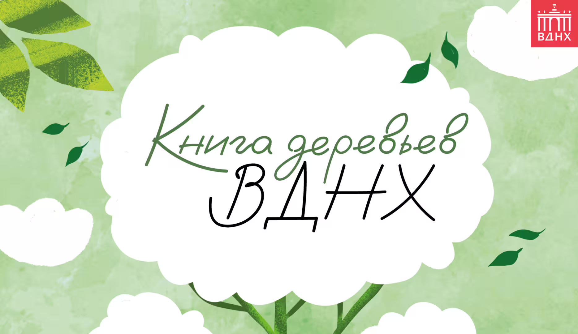 35570/exutS7TuATQhtxhEjia0qzDw8LYkLxdyxjlHvwZN.png