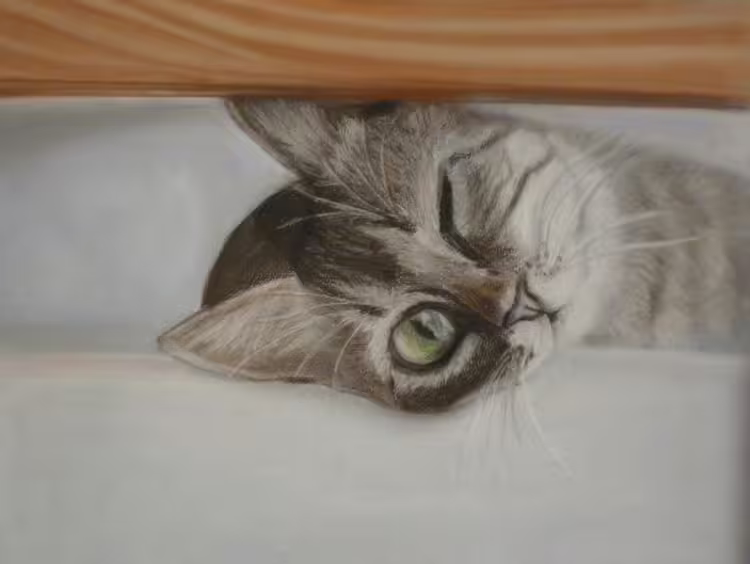 35617/Me0uYm5MokKsPKYUYQggd9Yh5QaeKpkHc8qiW9PG.jpg