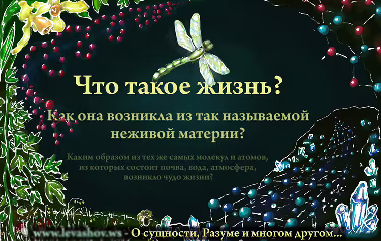 36077/g1kJ8whvsilTpmz5dyrFn0wvqwimT0MqPzTFgdDr.jpg