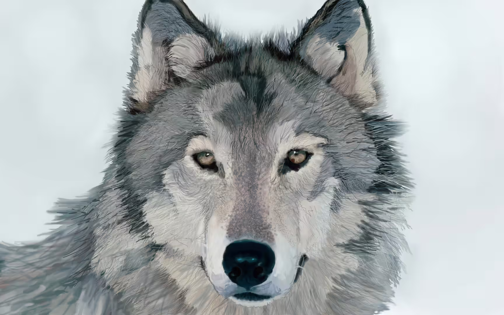 36139/nkq5ya1ebd5GRB9SxSBtM3NfDOB8dSRMTHc9Vrw0.jpg