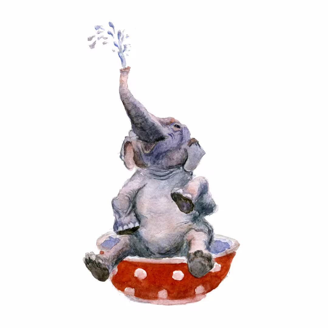 36220/CKZ9VFYtVVUJahzqMNlA1tlisTDb55fewmTXTai6.png