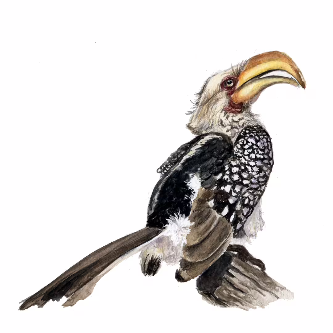 36220/sJpBV0Ou7F9ozJTJXvET27T9UgDkgEnGGi6M5qR7.png