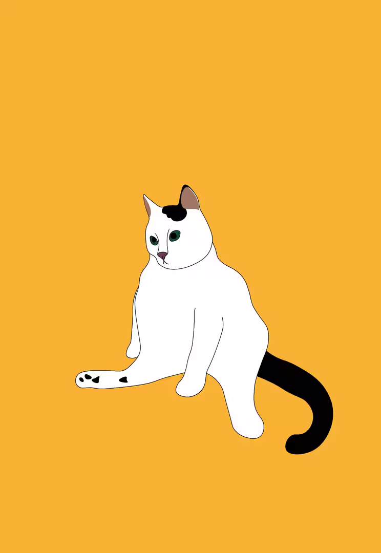 36250/Nype79YrNBY7pOxRj3jW1XyND8WLqYvyVWrKyn2O.png