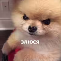 Аватар пользователя