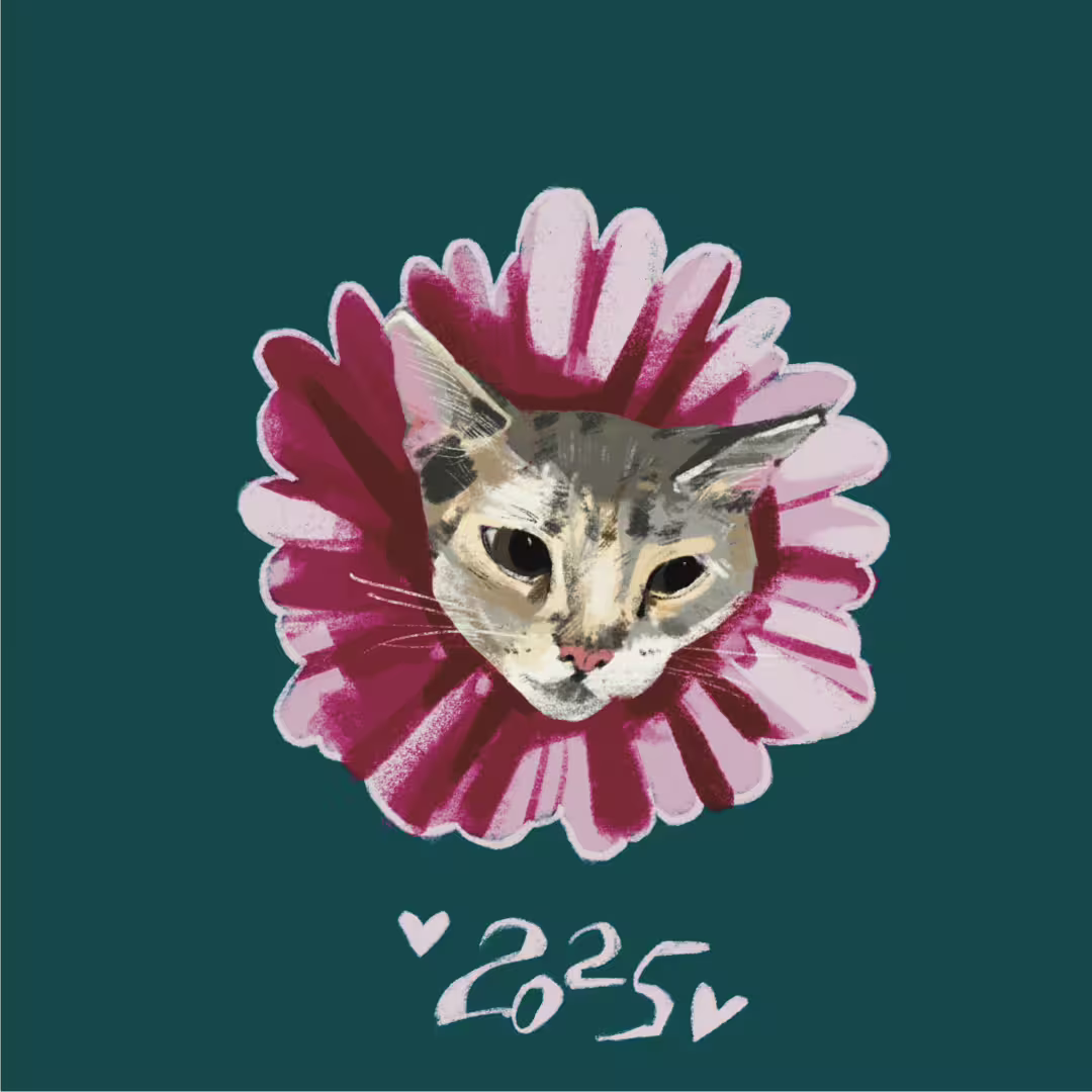 36674/Ktw1rSkhX6Cd3vXlmm5l6XFBvvYXM7rfNI5ErH5D.png