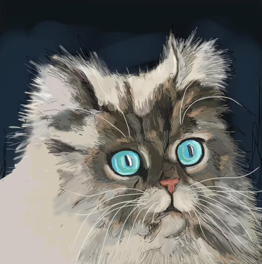 36680/aEXZr6xMa4miEMn0h3LLNYWefw8vM2vTltA5cNEN.jpg