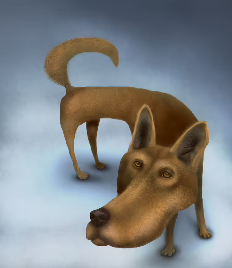 36797/mJLjhTZqJ7DdO4REcVeneqC4tYf1csIDtl3ipkA1.png