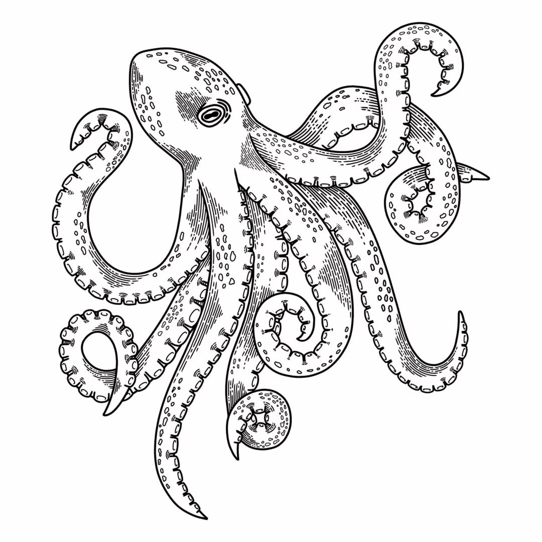36831/QGnvi2eXetTvkgepSQxfpqXycJJ8srM26tvyW4bH.png