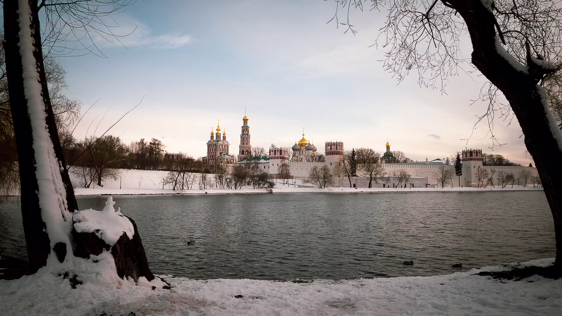 Новодевичий монастырь Арина-1040359.jpg