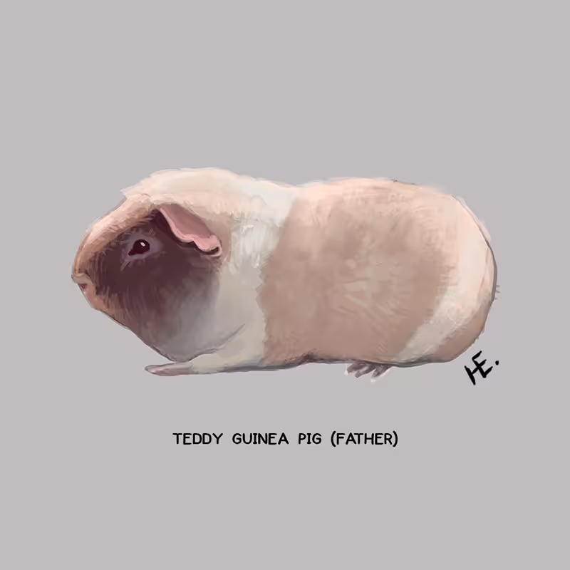 37192/6lFX4qzk7e2Sy61o3nC6SGMP8VjbNsCpoo4eyuqz.png