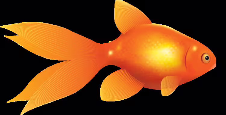 37344/5qaAEuuPgilxZy0Jv9MT1qrDLgk700dksXUaPnij.png