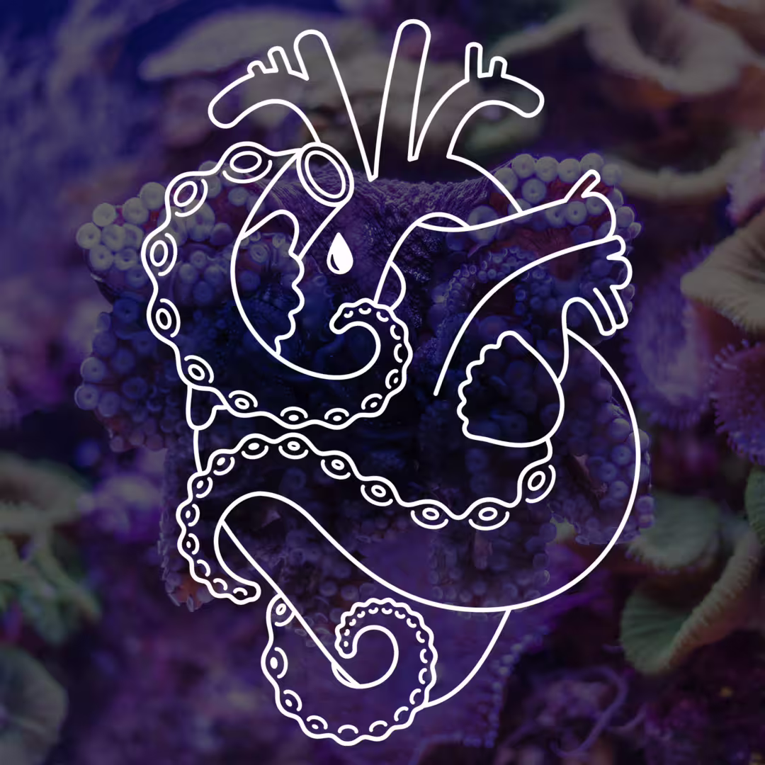 37633/SPrTBl9CsjHwy1fe2E5hJSmVIAAninzec6POm1B8.png