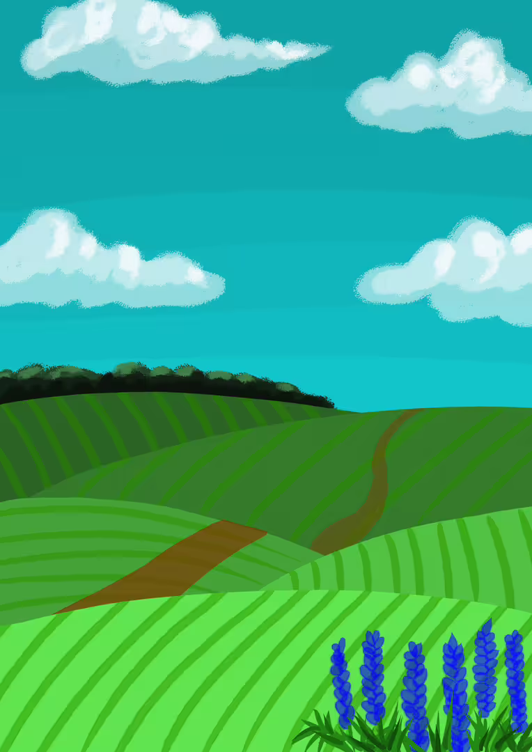 37770/sEcQy6NFmZVTpOCQMNRtoGBGQ7M9YHq7SXTNjA4A.png