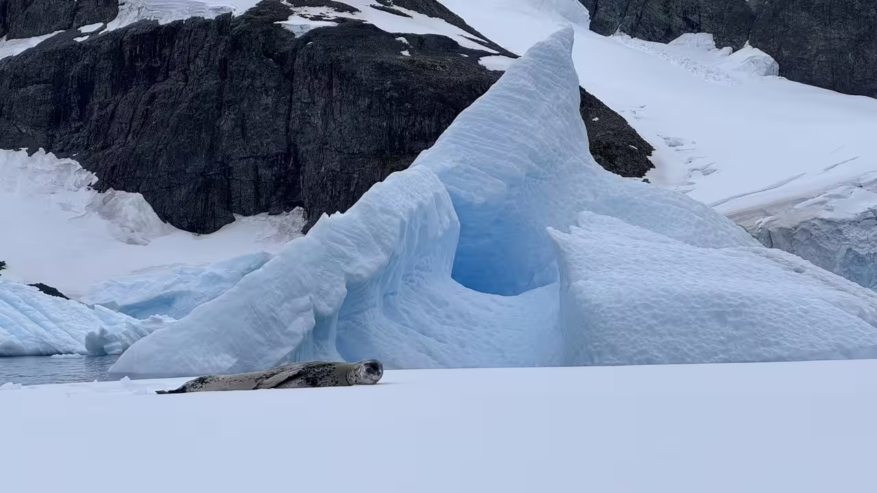 -5384061206177901270_121.jpg