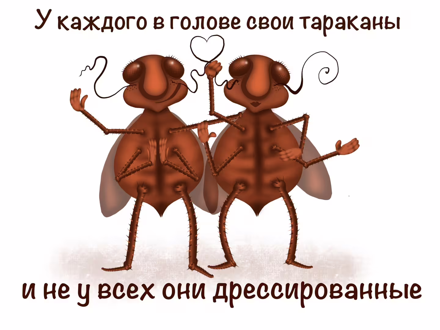 38247/sfiDQZkHEhelf7MKFdIiwMQRS0OzSkKNaQxwOBTw.jpg