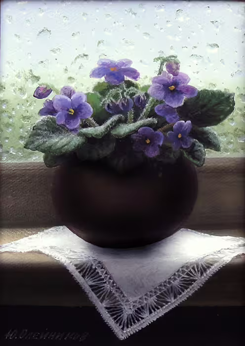 060_The_Violets_B.jpg
