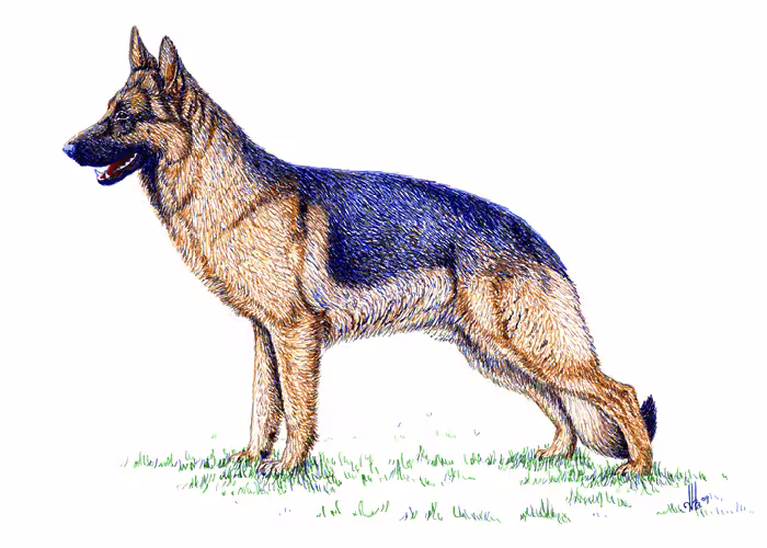 38660/E79nRbSftS0fXc8UUj82eRnk6zBdAsIWrbVa07zf.png