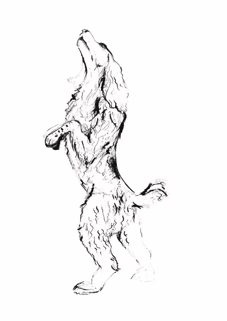 39007/GCuL9R6WzzlEAIx9QNxHqWMsqHoMqJfgZmVlQW4E.jpg