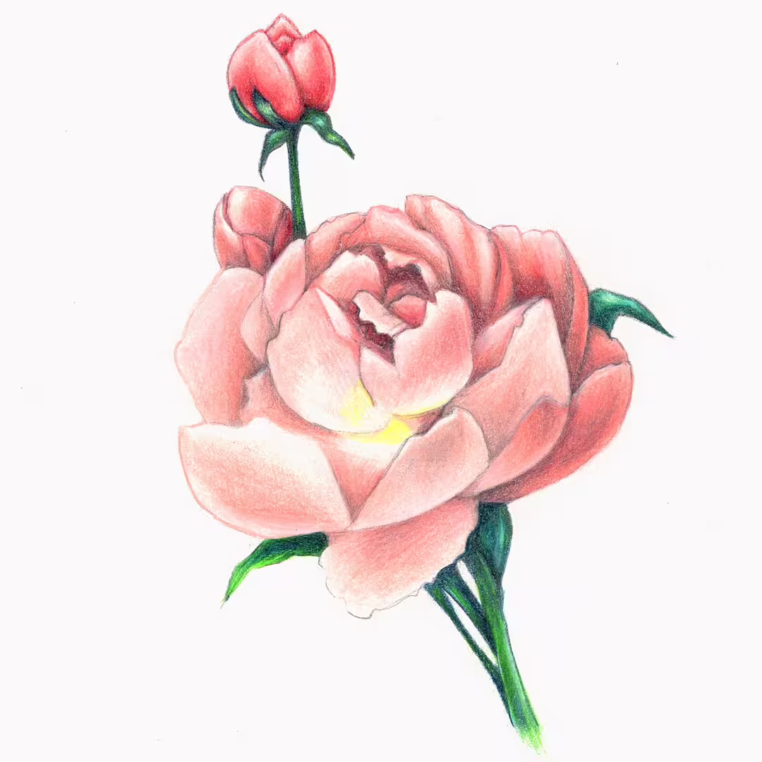 39038/R0Ouq6rIvSMY0xERYAyDB5qqevPycxHVWRPPNf6k.webp