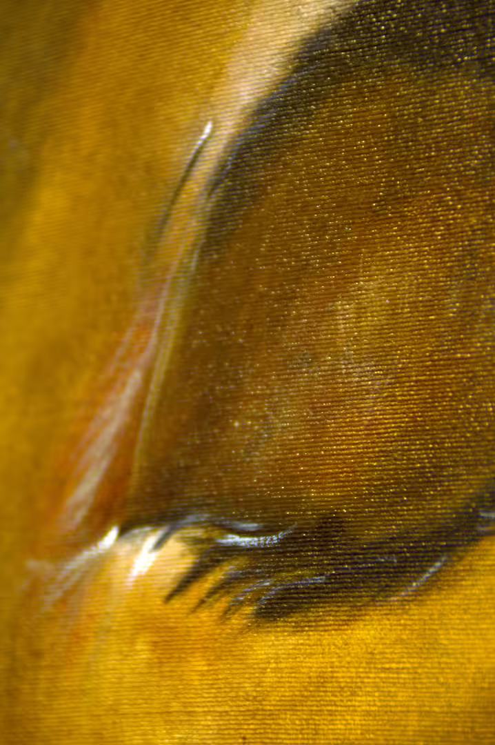 _DSC00152_1.jpg