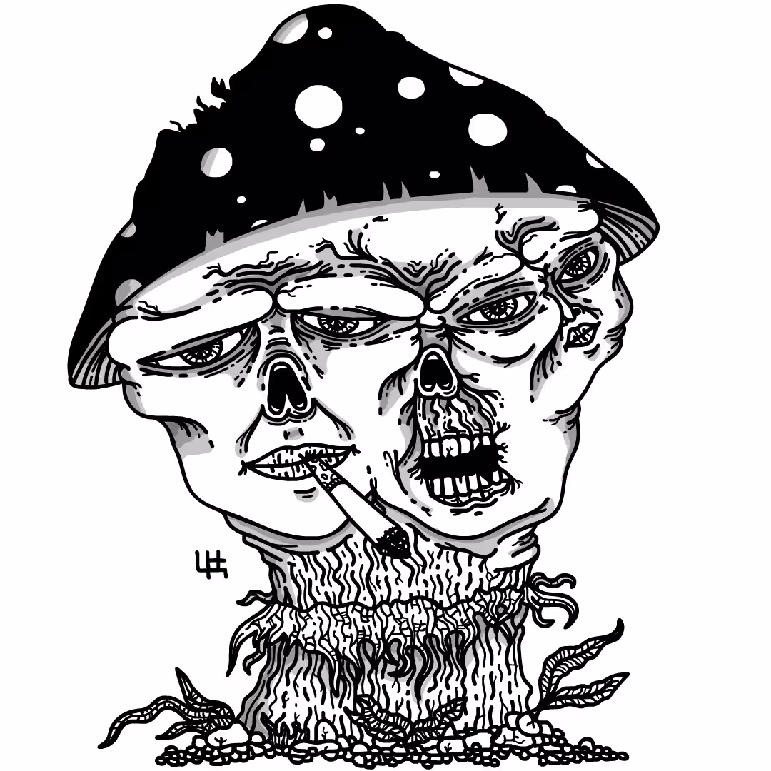 39346/Lx0D2ssLdbpsyhO9HRqkdvR86jJt17wyBdwqfCtv.jpg