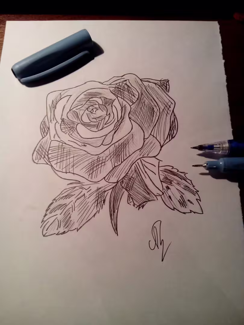 39657/coD9ndRFjk7NTBsItfF5dAyjLIZy53UR0HRrAGNO.jpg