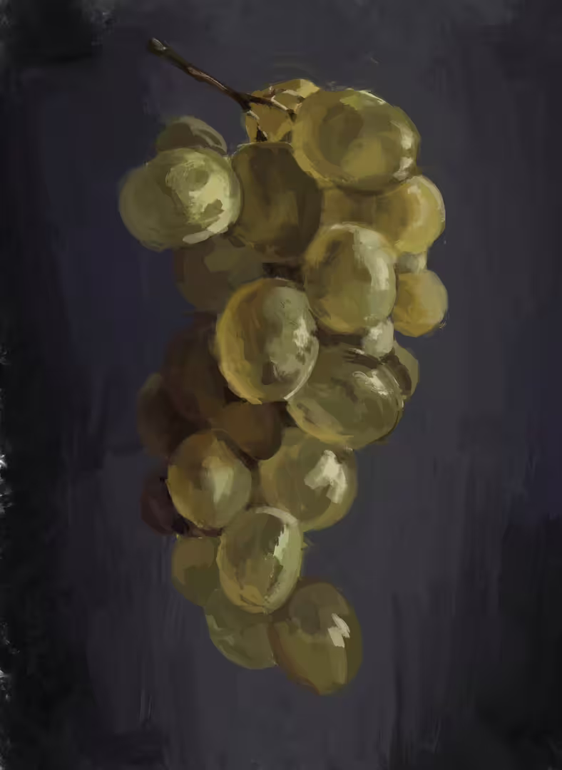 40040/PXjWsK6yiaUZXXRPYqY0X0E0UdH4vdw6ln0KNPQM.jpg
