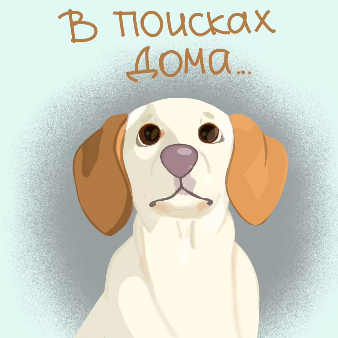 40288/5JNWenVId2IbLXHqkjz9DNAviwxykhij3VUUxNPK.jpg