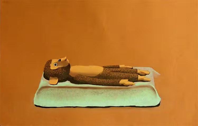 40619/XSpxVn2FlOTLMCT8ISkVHddFWKGGH0vYNQiMQA0H.jpg