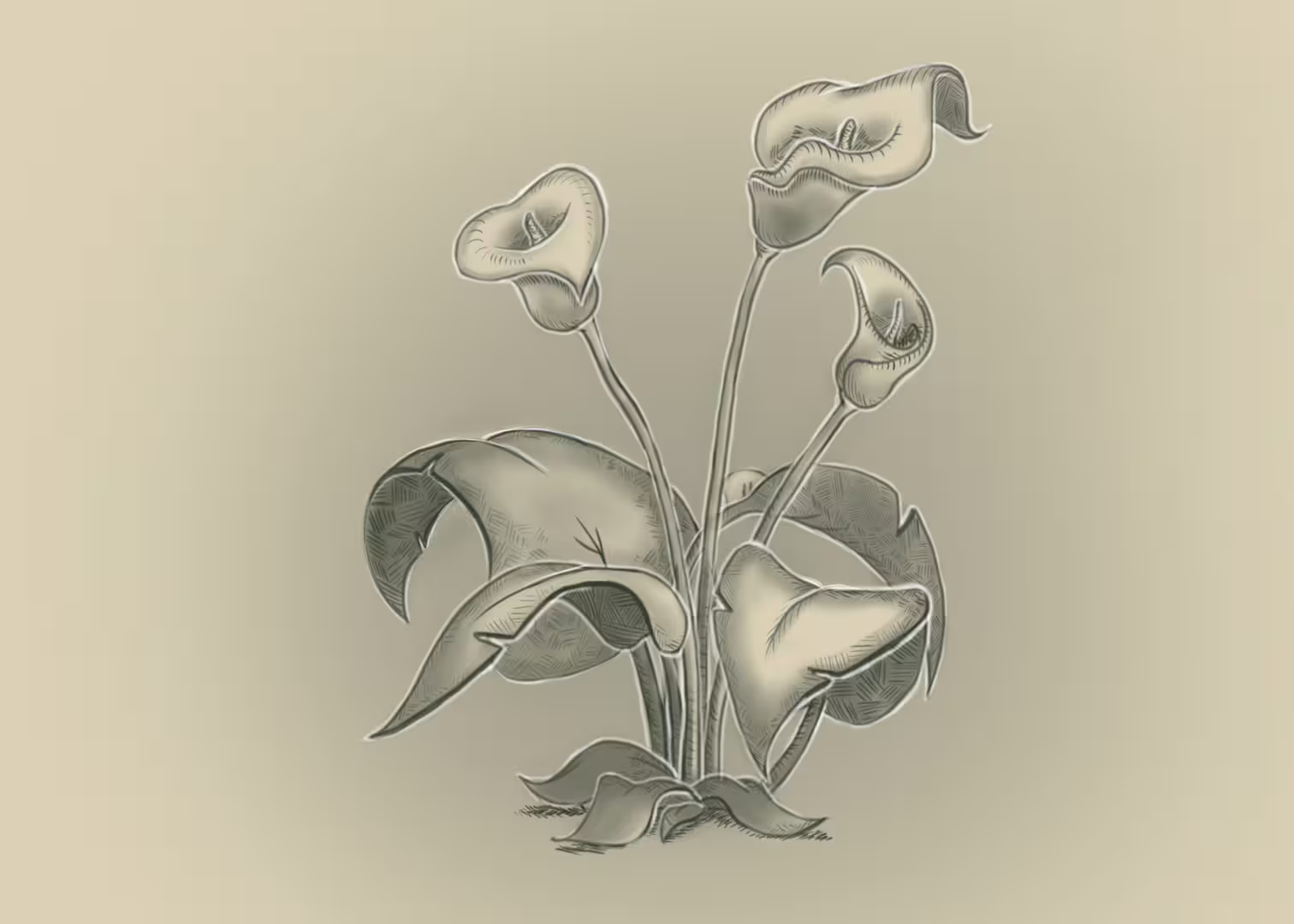40735/cCtiWo0ZIGYJ07JdZu6d7shkB9Xeh03ox0edKZXW.jpg
