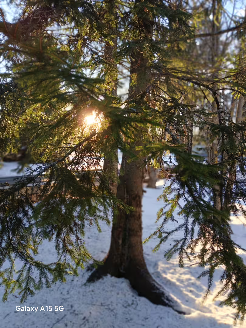 20250121_093936.jpg