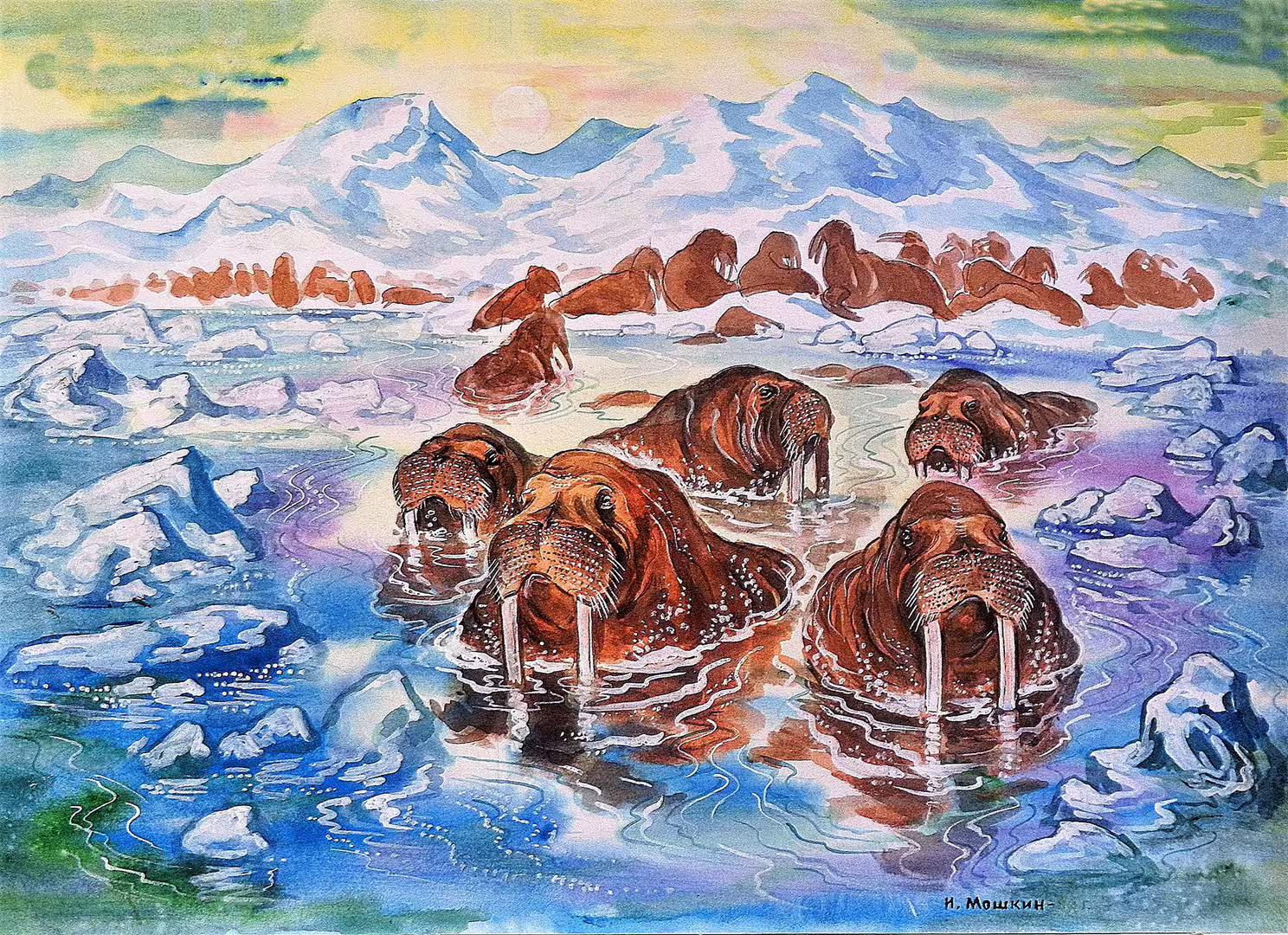 8-акварель, бумага, 45х60 см.-Стадо моржей;.jpg