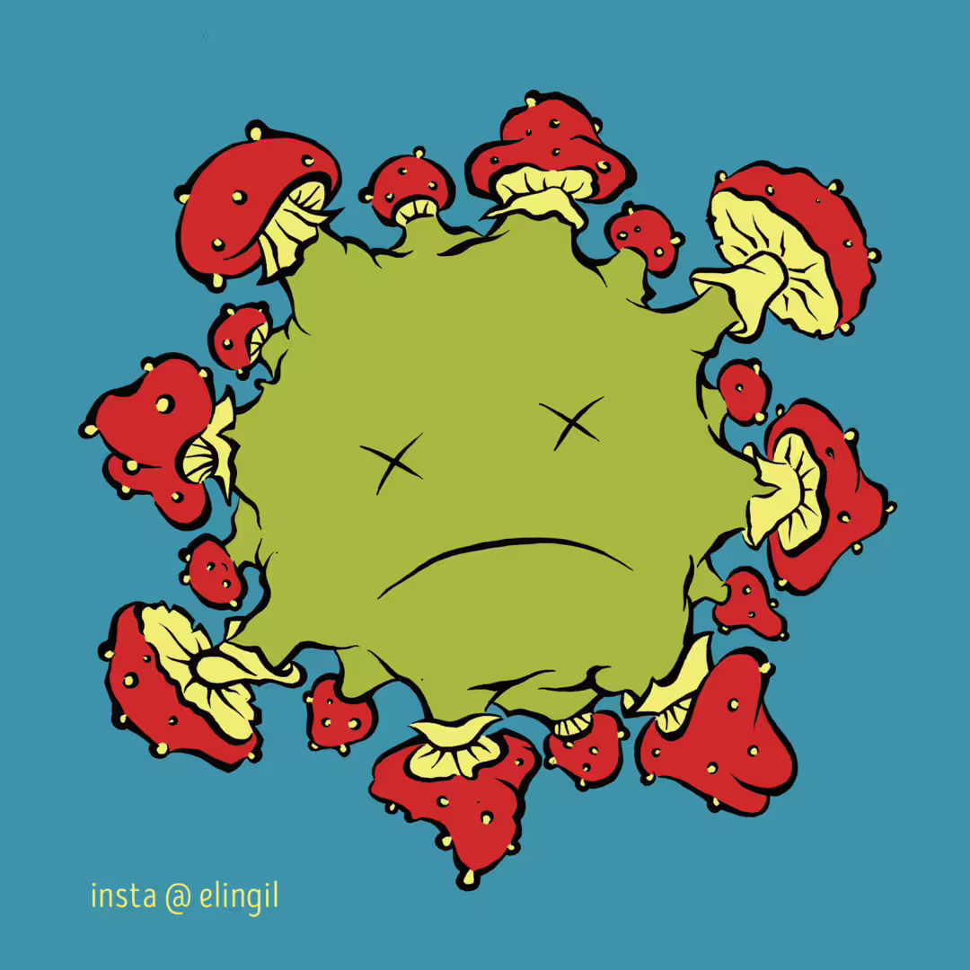 41085/8be4GGmtG5lNGM8ZaILVjvBINN3zjB3VOeb7HFFc.png