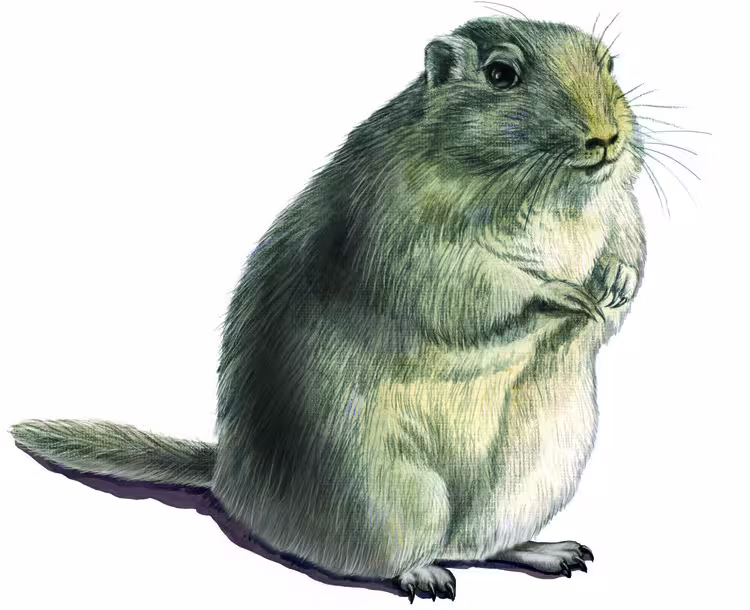 41251/xLghwvnRsjq7YpMze02CWef9hOKviIQAA2V4PhzH.jpg